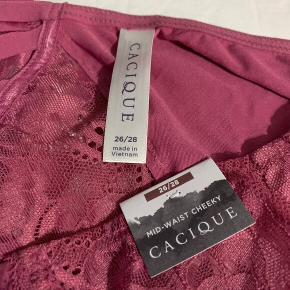 Lane Bryant Cacique Mid Waist Cheeky Panties Underwear Lace Pink Plus 26 /28 - Picture 2 of 4